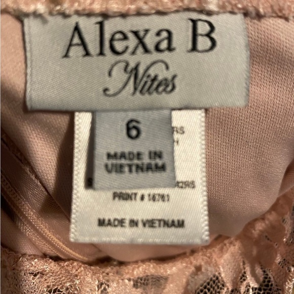 Alexa B Nites Dress Lined Shell Pink Blush Sequins Size 6 - Picture 7 of 7